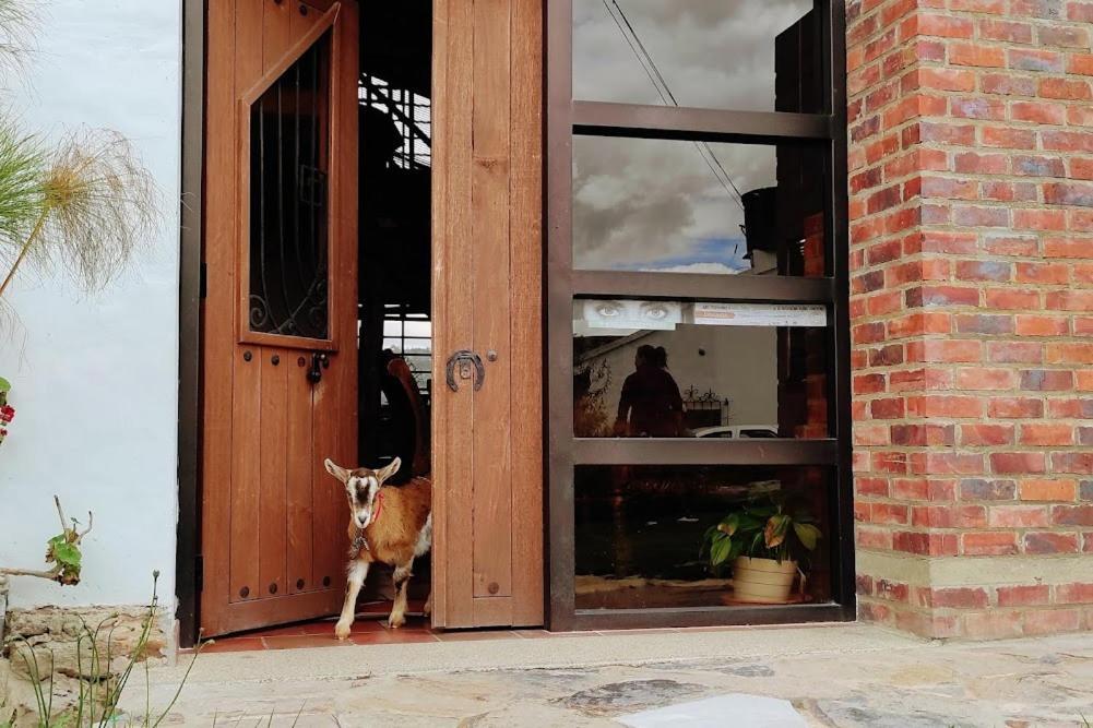 Cabanas & Glamping De Ruana Por Boyaca Paipa Eksteriør billede